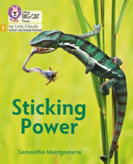 Title: Big Cat Phonics for Little Wandle Letters and Sounds Revised - Sticking Power: Phase 5, Author: Samantha Montgomerie