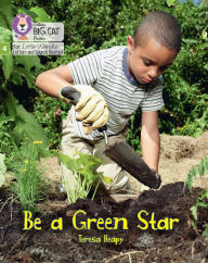 Title: Be a Green Star: Phase 4 Set 2 Stretch and challenge, Author: Teresa Heapy