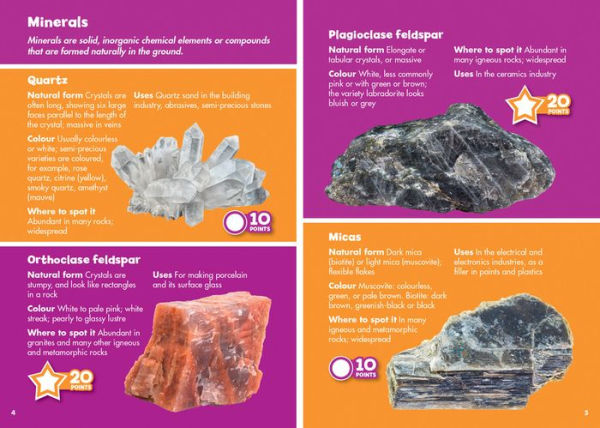 i-SPY Fossils and Rocks: Spy it! Score it!