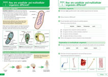 Alternative view 3 of KS3 Science Year 7: Organise and retrieve your knowledge: Ideal for Year 7