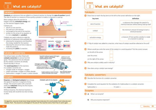 KS3 Science Year 9: Organise and retrieve your knowledge: Ideal for Year 9