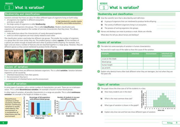 KS3 Science Year 9: Organise and retrieve your knowledge: Ideal for Year 9