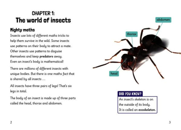 Big Cat for Little Wandle Fluency - INSECT MATHS: Fluency 5