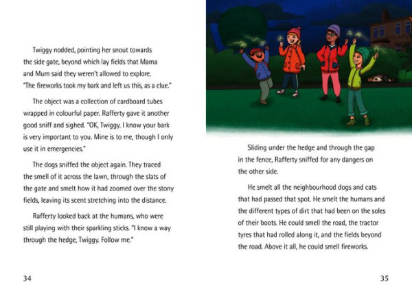 Big Cat for Little Wandle Fluency - THE LOST BARK: Fluency 7