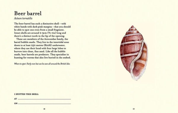 The Shell-spotter's Guide