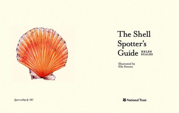 The Shell-spotter's Guide