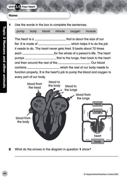 Collins International Primary Science: Progress Book (Teacher Pack