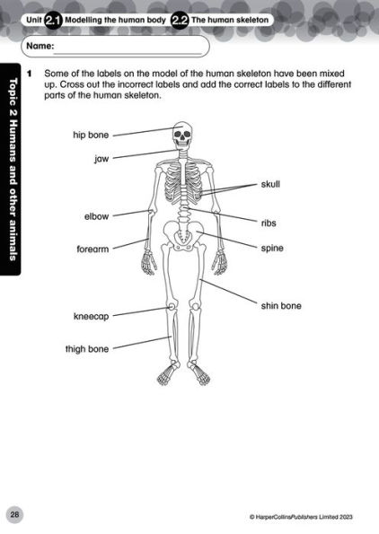 Collins International Primary Science: Progress Book 4 (Teacher Pack)