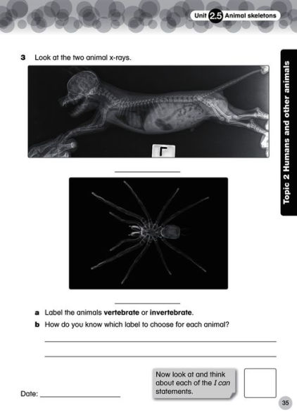 Collins International Primary Science: Progress Book 4 (Student's Book)