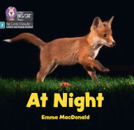 Title: At Night: Phase 3 Set 1 Blending practice, Author: Emma MacDonald
