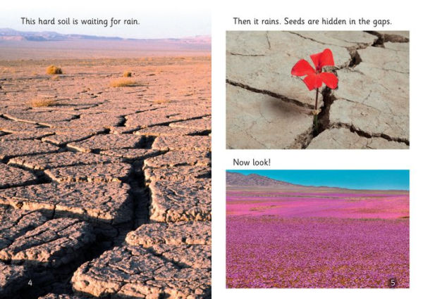 The Power of Rain: Phase 3 Set 2