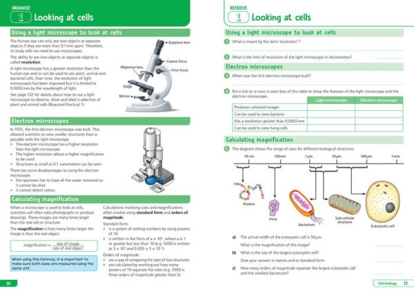 Collins GCSE Science 9-1: AQA GCSE 9-1 Biology: Organise and Retrieve Your Knowledge