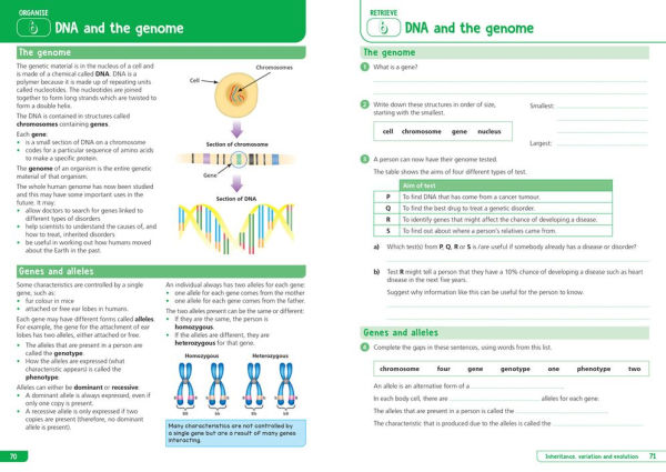 Collins GCSE Science 9-1: AQA GCSE 9-1 Combined Science Trilogy Foundation: Organise and Retrieve Your Knowledge