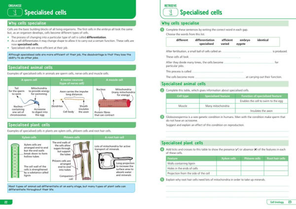 Collins GCSE Science 9-1: AQA GCSE 9-1 Combined Science Trilogy Higher: Organise and Retrieve Your Knowledge