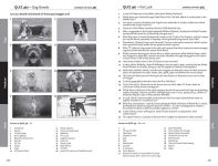 Alternative view 3 of Collins Pub Quiz: easy, medium and hard questions with picture rounds