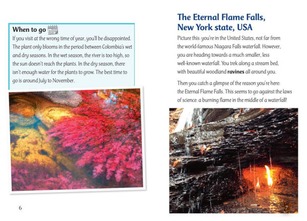 Forever Flames and Twisted Trees