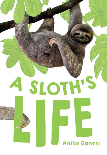 Big Cat for Little Wandle Fluency: A Sloth's Life