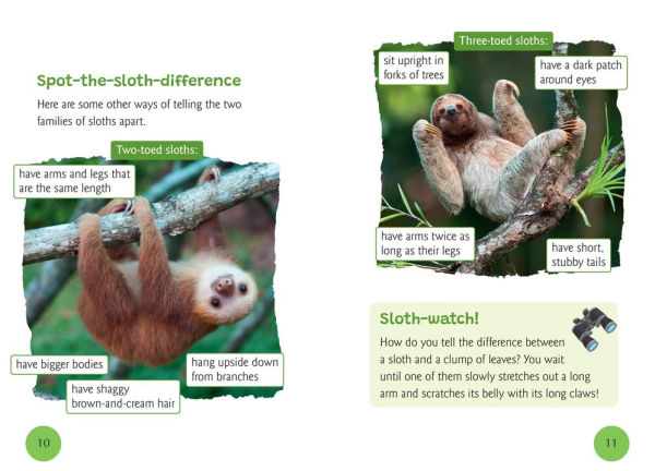 Big Cat for Little Wandle Fluency: A Sloth's Life