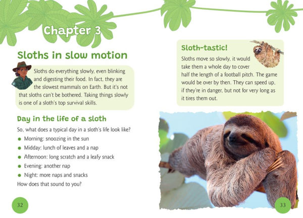 Big Cat for Little Wandle Fluency: A Sloth's Life