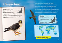 Alternative view 2 of Collins Big Cat - Back from the Brink: Band 12/Copper