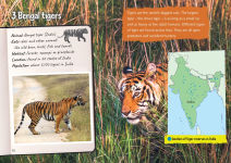 Alternative view 3 of Collins Big Cat - Back from the Brink: Band 12/Copper