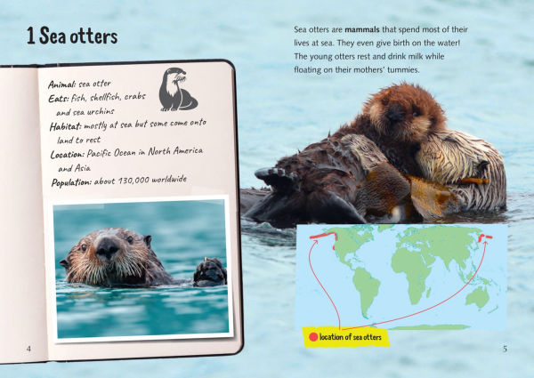 Collins Big Cat - Back from the Brink: Band 12/Copper