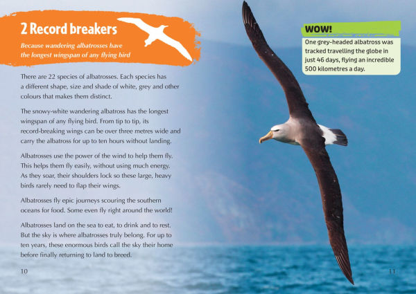 Collins Big Cat - The Story of Albatross: Band 14/Ruby