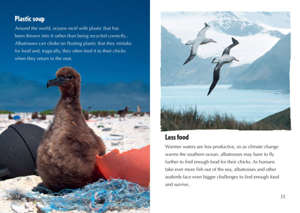 Collins Big Cat - The Story of Albatross: Band 14/Ruby