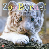 Title: Reading Wonders Literature Big Book: Zooborns! Grade K / Edition 1, Author: McGraw Hill