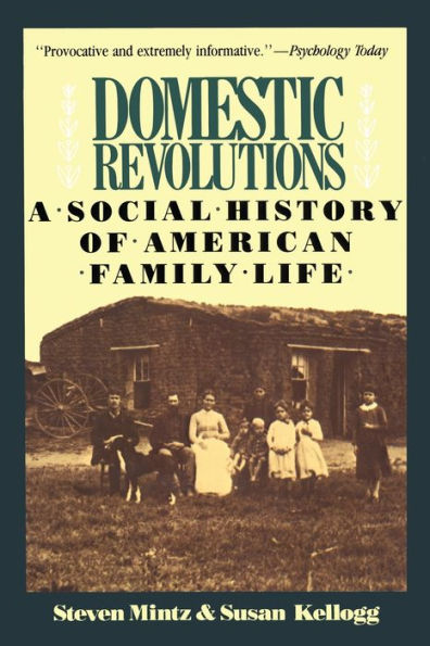 Domestic Revolutions: A Social History Of American Family Life / Edition 1
