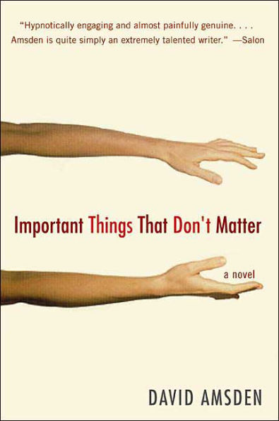 Important Things That Don't Matter: A Novel