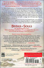 Alternative view 2 of Bridge of Souls: The Quickening Book Three