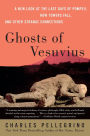 Ghosts of Vesuvius: A New Look at the Last Days of Pompeii, How Towers Fall, and Other Strange Connections