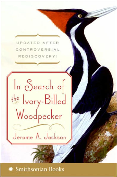 In Search of the Ivory-Billed Woodpecker