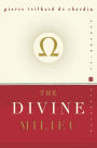 The Divine Milieu