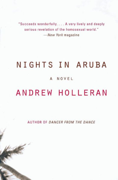 Nights in Aruba: A Novel