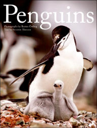 Title: Penguins, Author: Brutus Ostling