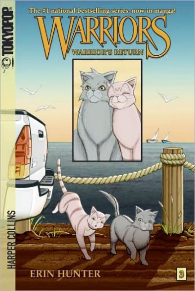 Warrior's Return (Warriors Manga: Graystripe's Adventure #3)