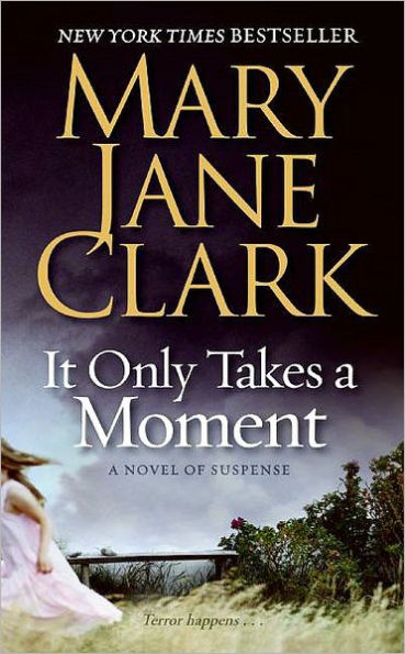 It Only Takes a Moment (Sunrise Suspense Society Series #2)