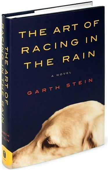 The Art of Racing in the Rain