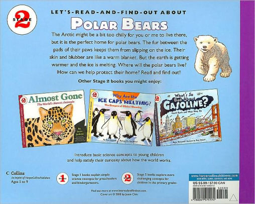 Where Does A Polar Bear Live Let S Read And Find Out