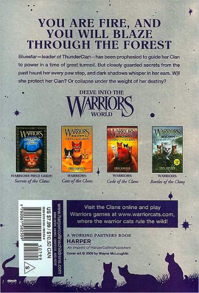 Warrior Cats, Warrior book series, Blue Star retro sunset