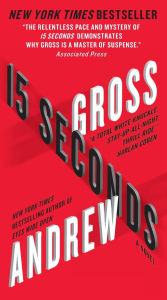 Title: 15 Seconds: A Novel, Author: Andrew Gross