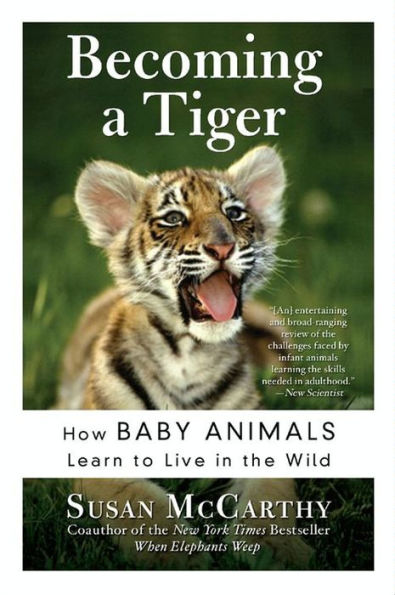 Becoming a Tiger: How Baby Animals Learn to Live in the Wild