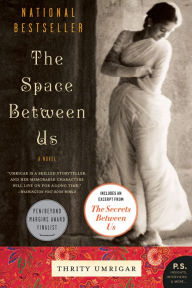 Title: The Space Between Us: A Novel, Author: Thrity Umrigar