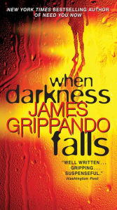 Title: When Darkness Falls (Jack Swyteck Series #6), Author: James Grippando