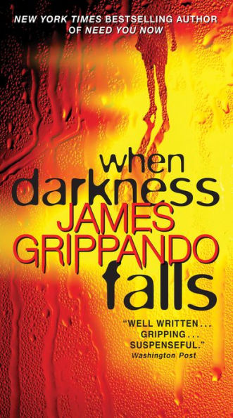 When Darkness Falls (Jack Swyteck Series #6)
