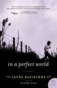 Title: In a Perfect World, Author: Laura Kasischke