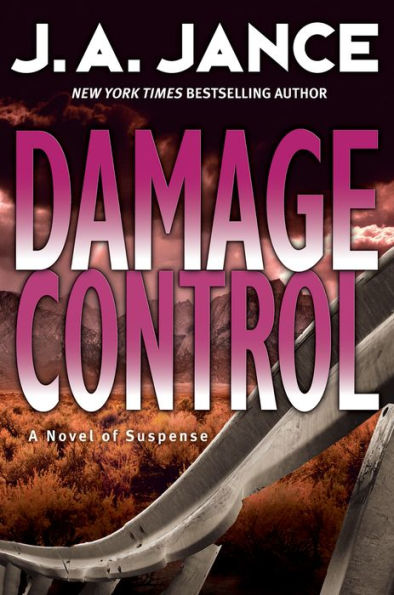 Damage Control (Joanna Brady Series #13)