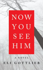 Free downloadable mp3 audiobooks Now You See Him